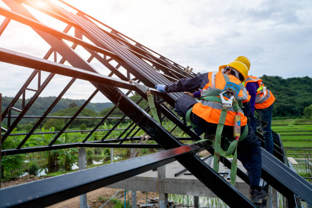 Best Roof Leak Repair  in Mills River, NC