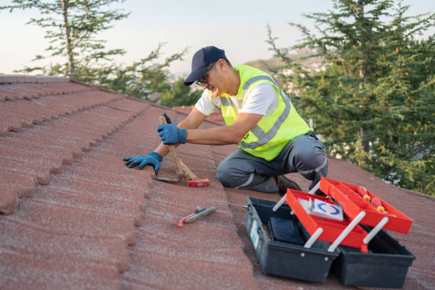 Best New Roof Installation  in Mills River, NC