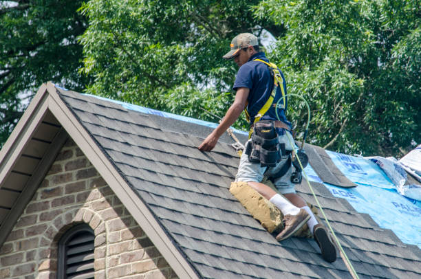Best Roof Gutter Cleaning  in Mills River, NC